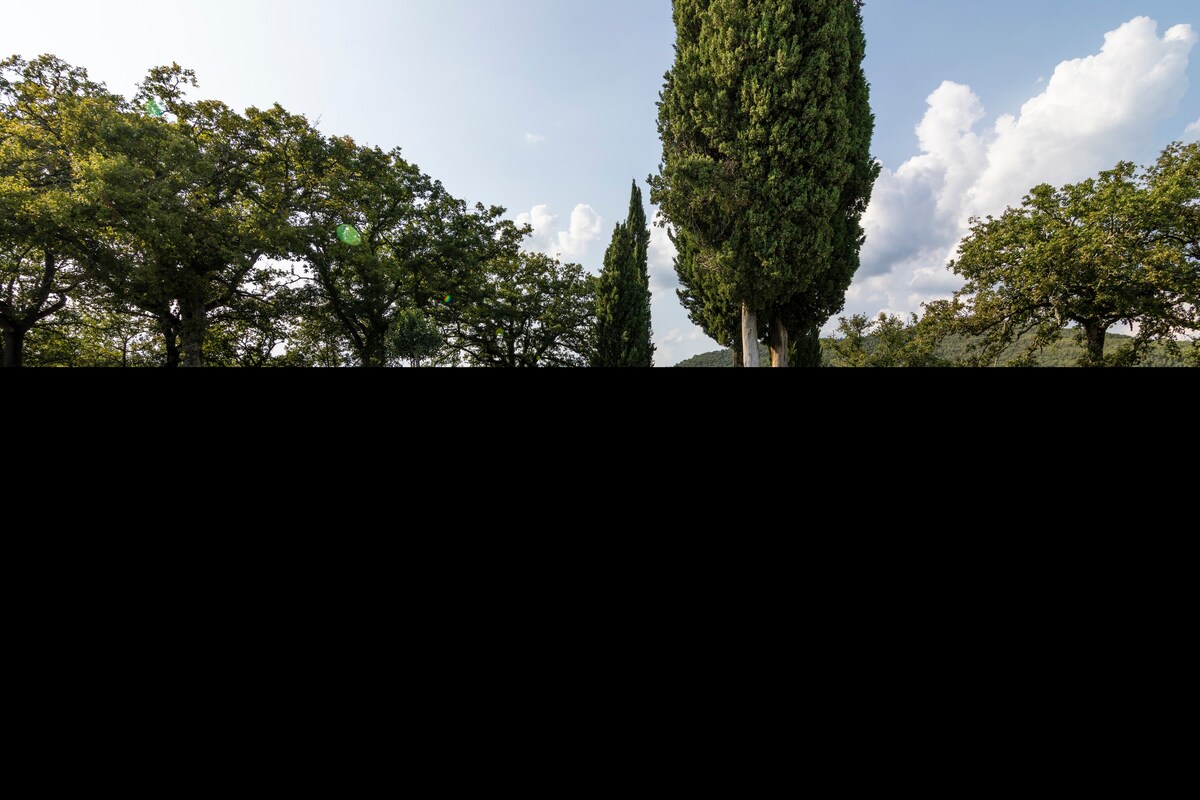 靠近佛罗伦萨的托斯卡纳别墅|葡萄园景观|泳池