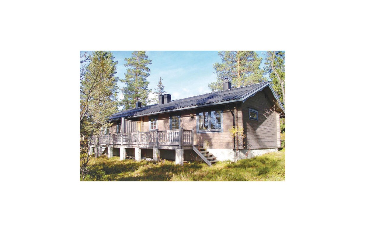 Awesome home in Sälen with 2 Bedrooms and Sauna