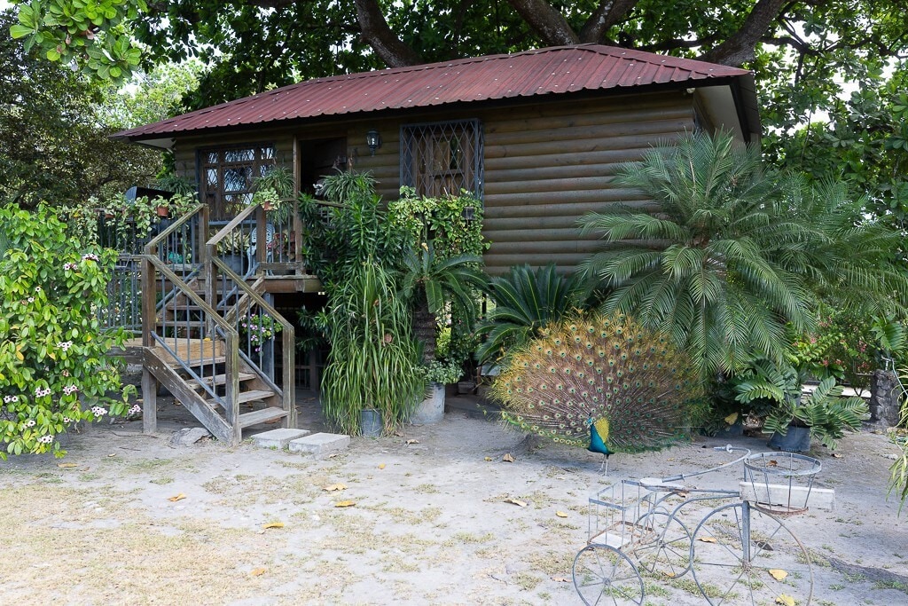 AcoModo的Quinta Pavo Real Cabin # 2
