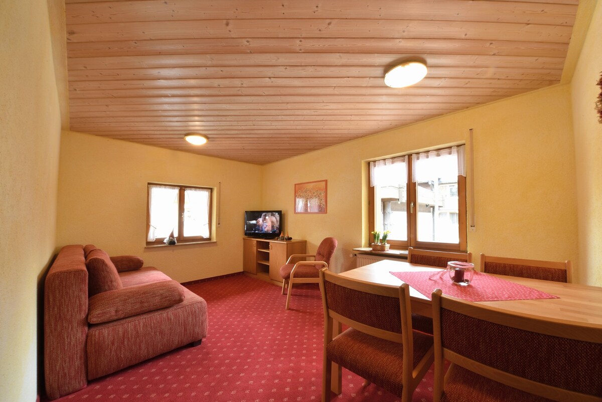 Roseneck客房， （ Todtmoos ） ， 47平方米的度假公寓， 1间卧室， 1间客厅/卧室，最多可容纳4人