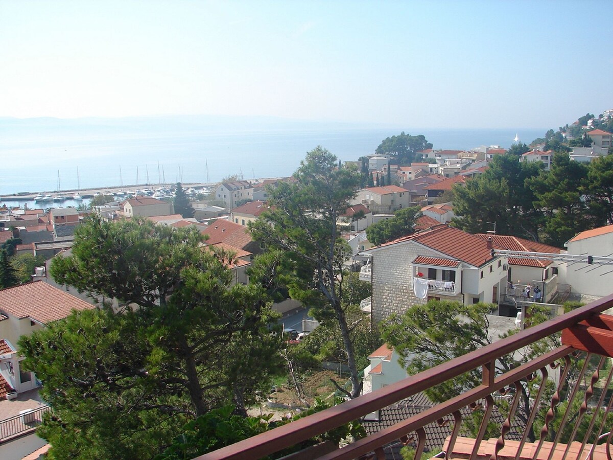 Apartment Roza - 200 m from sea