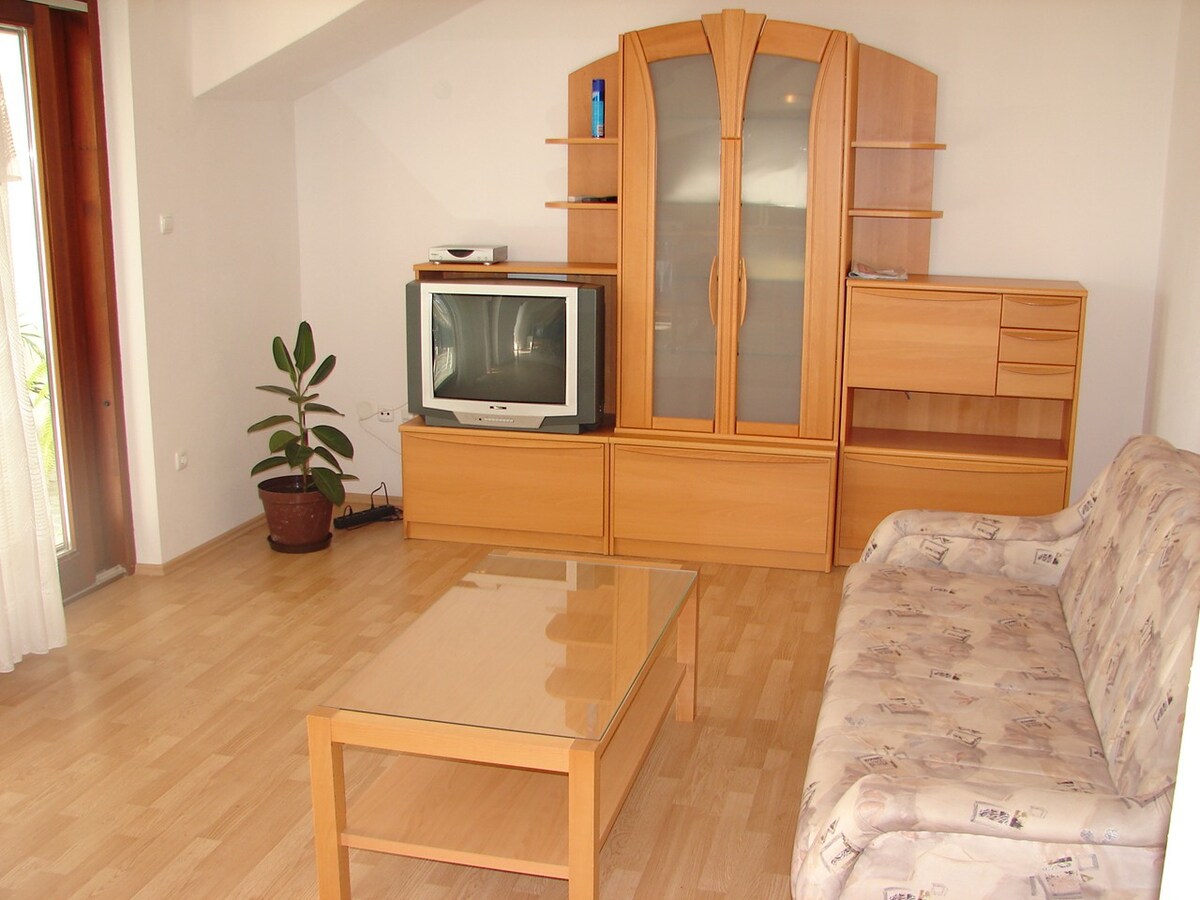Apartment Tone - spacious and comfortable