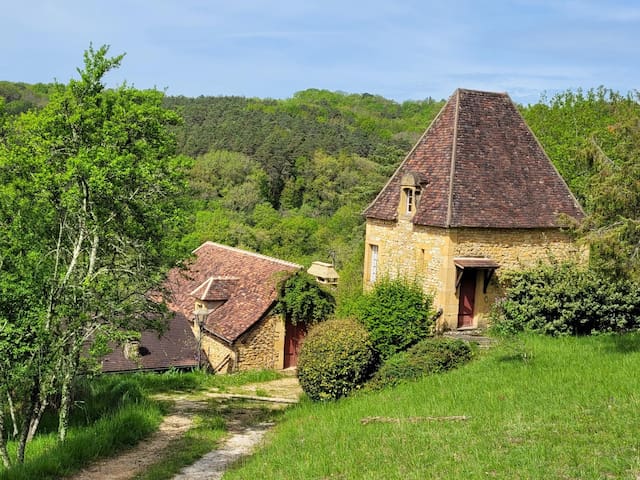 Saint-Léon-sur-Vézère的民宿