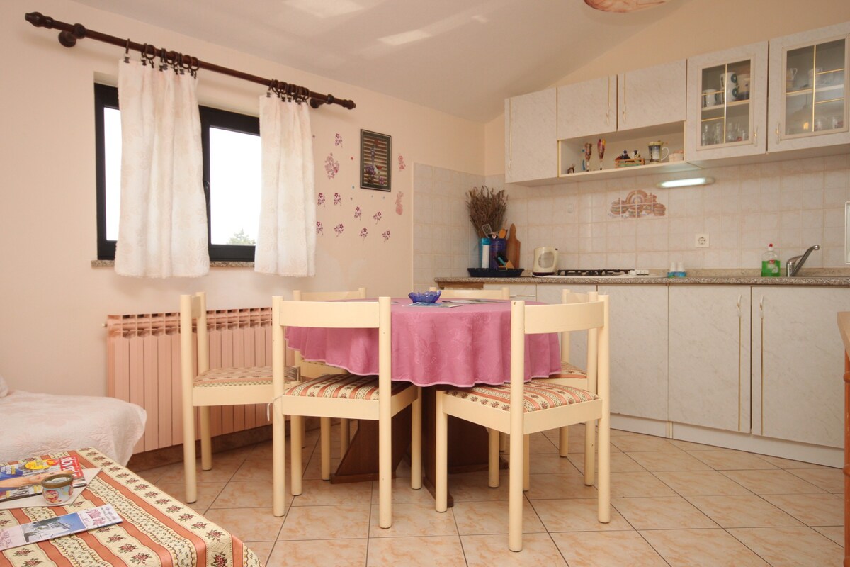 A-6932-a Three bedroom apartment with terrace Umag