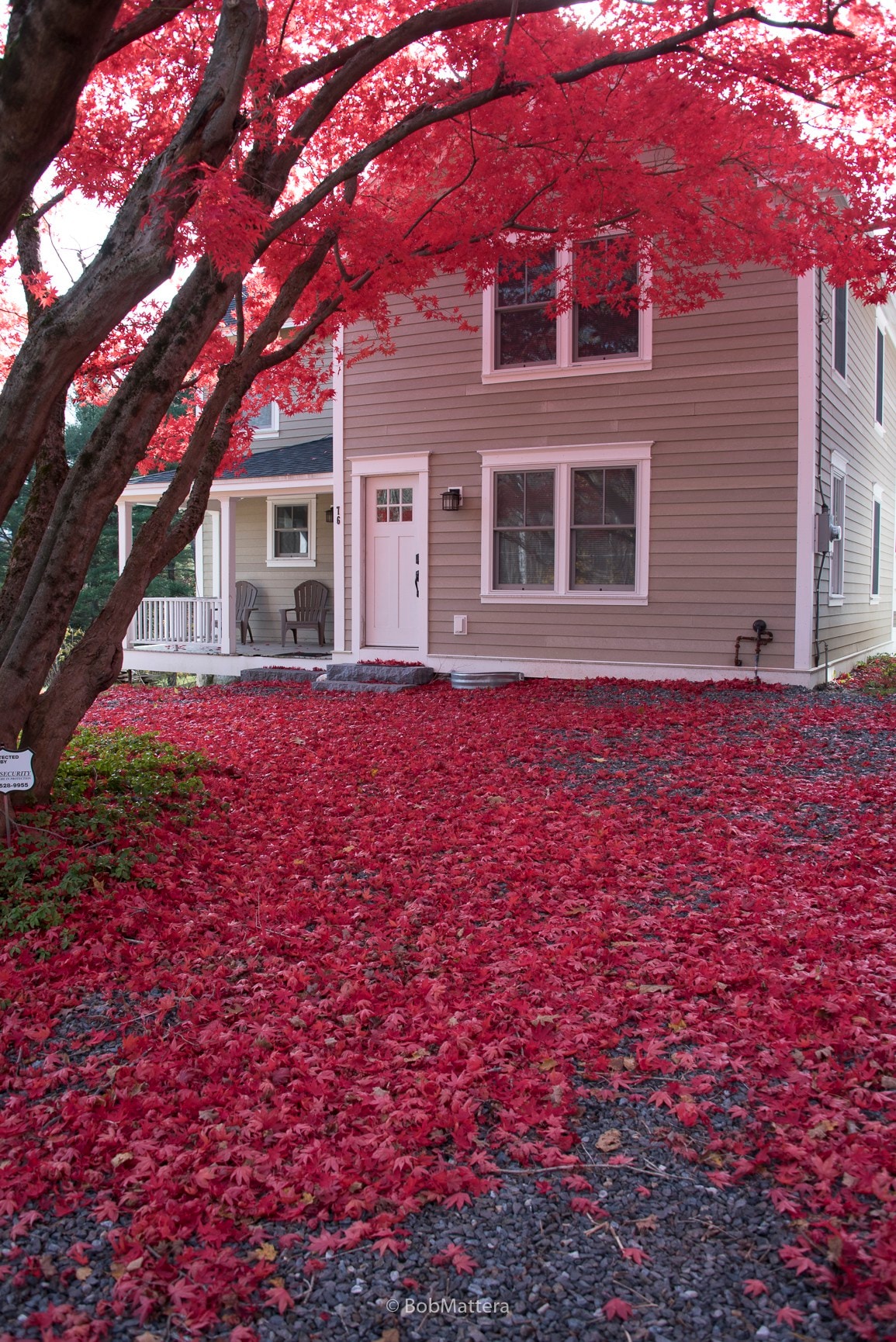 Restored 1881 Farm House