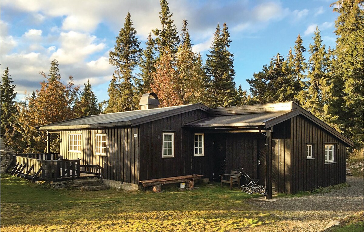 Sjusjøen的迷人房源，带4个卧室和WiFi