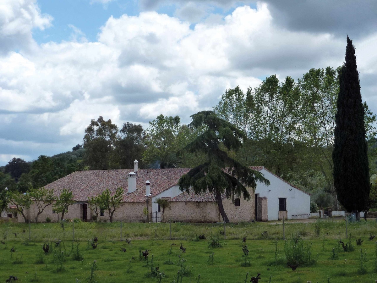 Casa de los Gallos