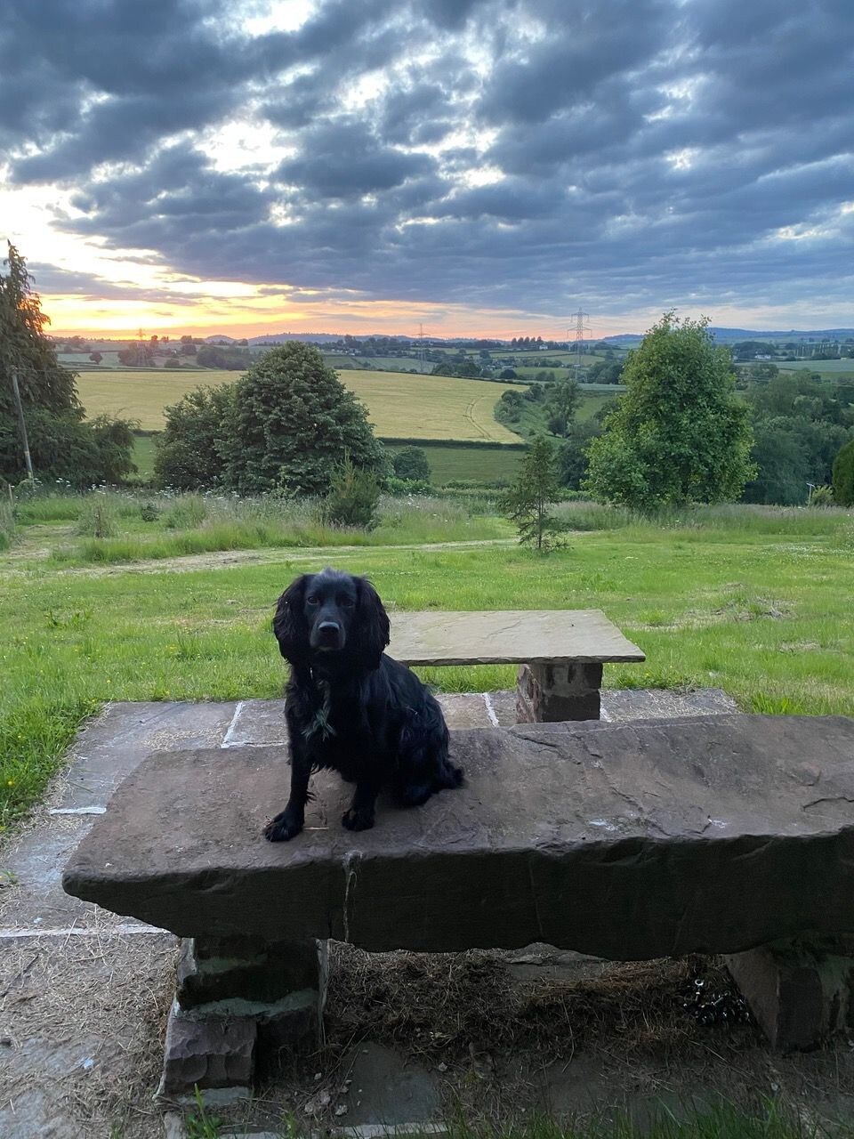 Bramble 's Barn