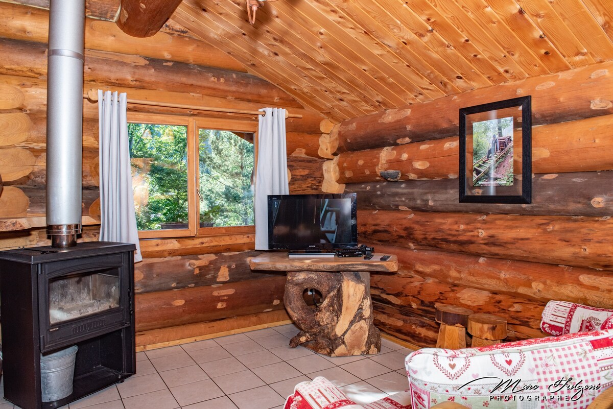 La Bresse的美丽原木度假木屋，非常适合家庭入住
