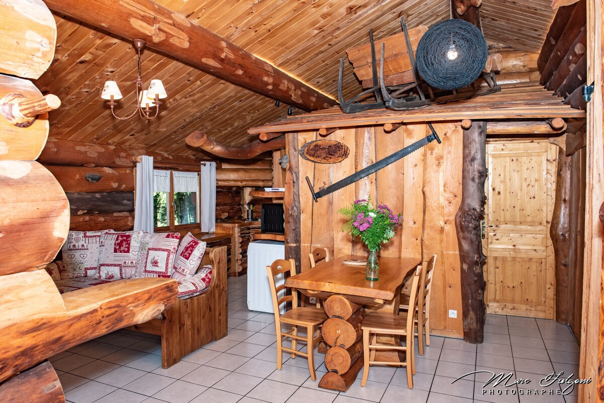 La Bresse的美丽原木度假木屋，非常适合家庭入住