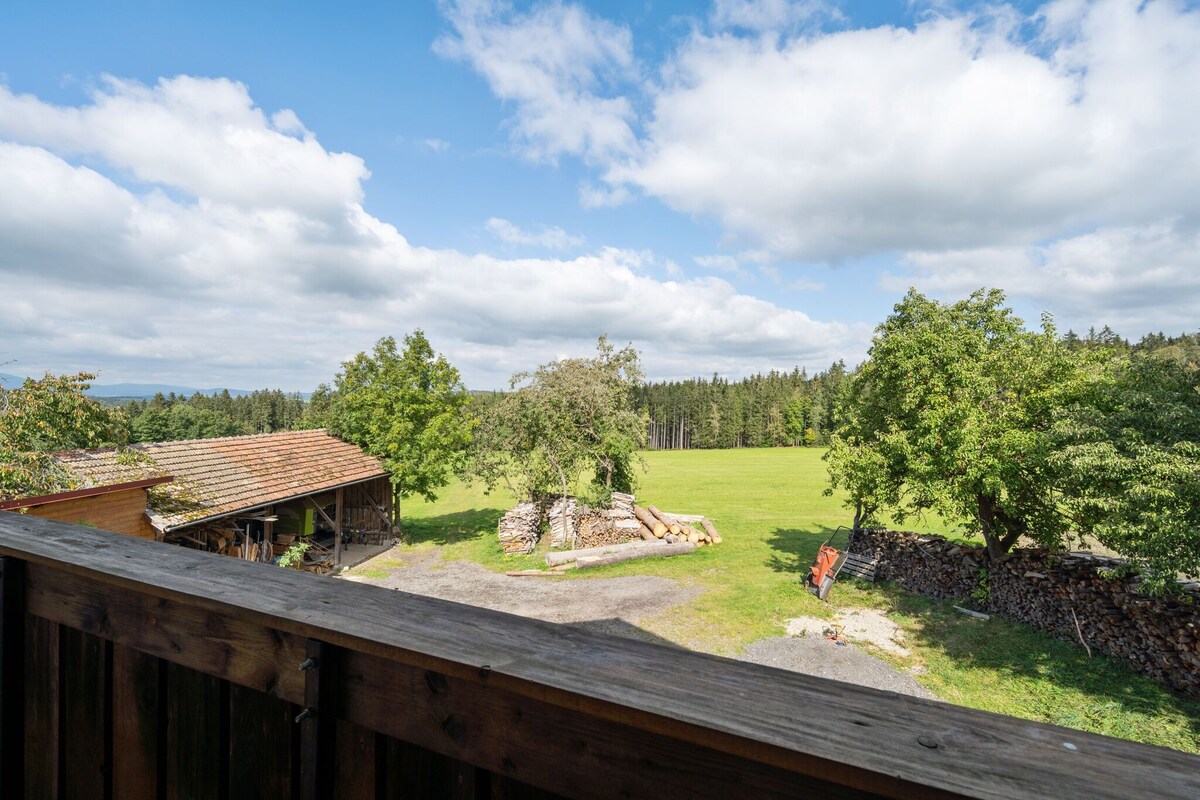 Apartment on a farm near the ski area