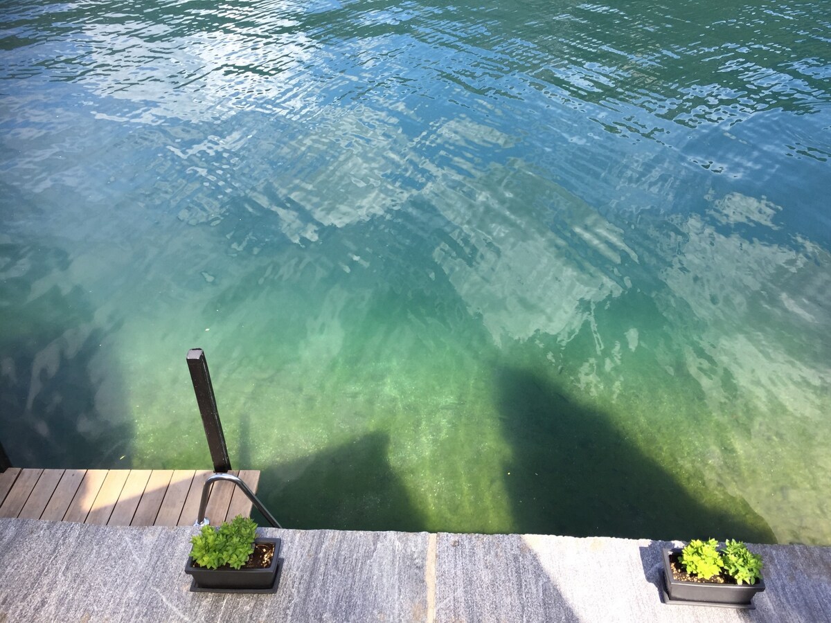 直接游览卢加诺湖：从别墅游泳