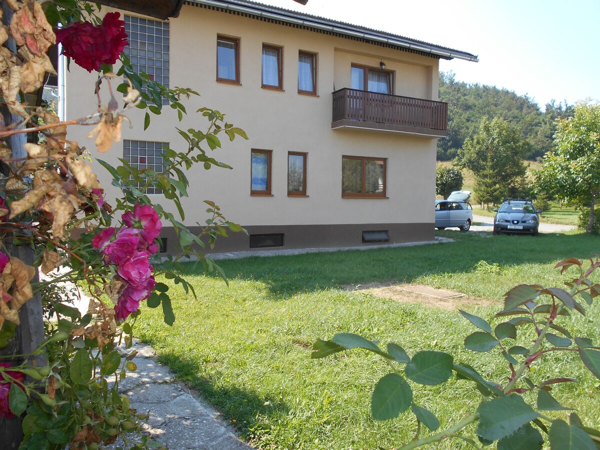 AS-15892-a Studio flat Mrkopalj, Gorski kotar