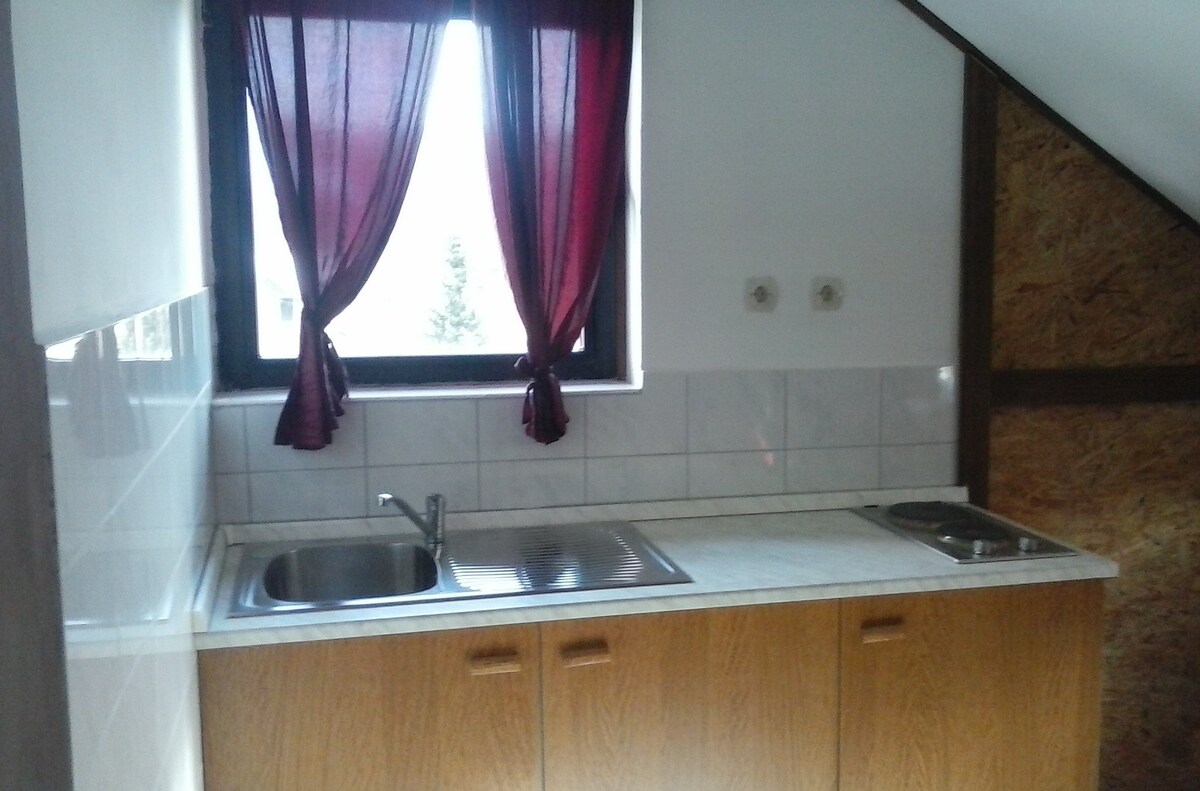 AS-15892-a Studio flat Mrkopalj, Gorski kotar