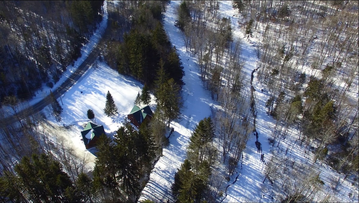 Spruce Glen Cabin滑雪场2个空调桑拿壁炉