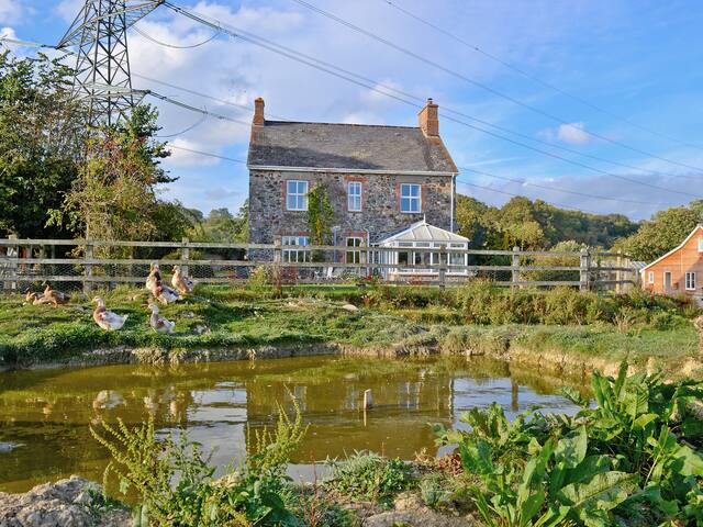 Bovey Tracey, near Newton Abbot的民宿