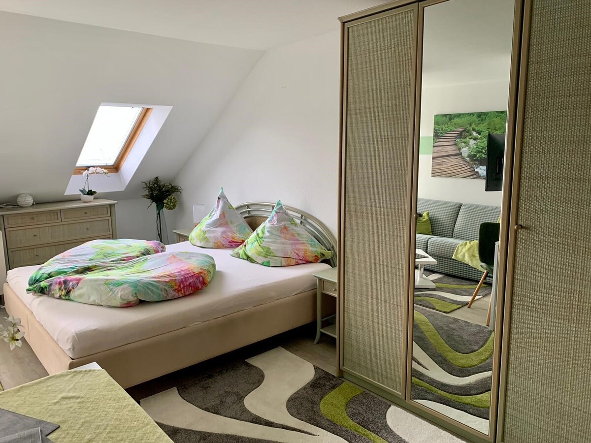 Bodanblick房屋， （ Bodman-Ludwigshafen ） ， 1室度假公寓， 36平方米， 1间客厅/卧室，阳台，最多可入住2人