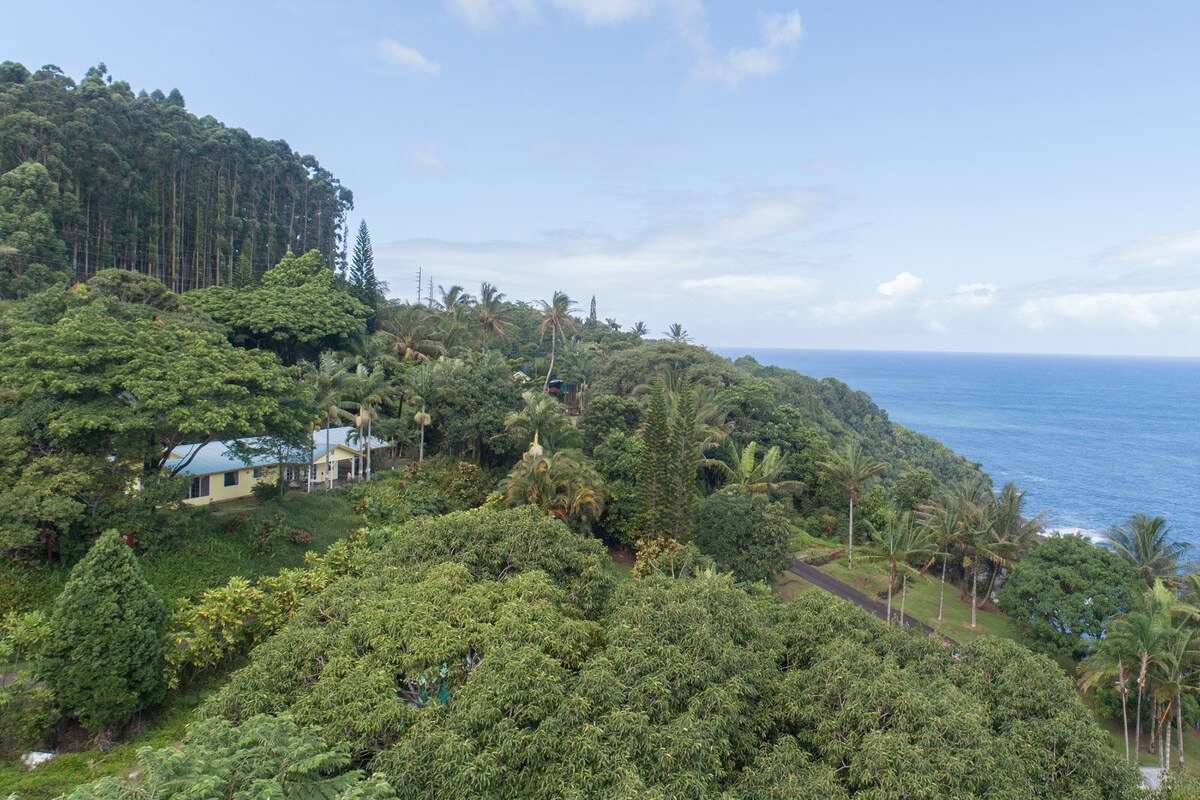 哈马库亚海岸（ Hamakua Coast ）海景房源