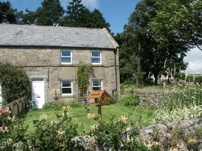 Birch Cottage - 15841