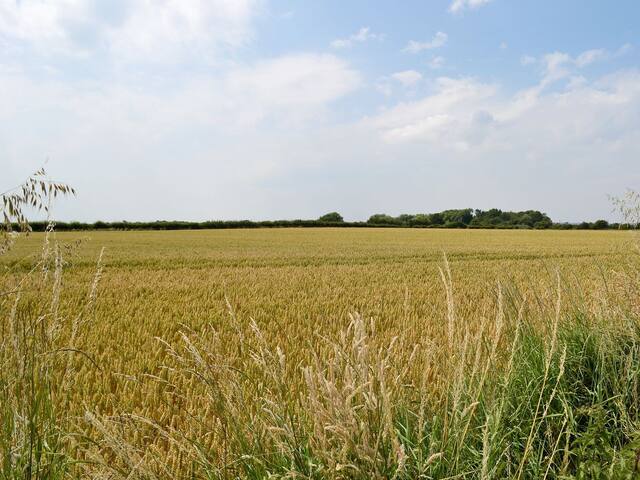 Hogsthorpe, near Skegness的民宿