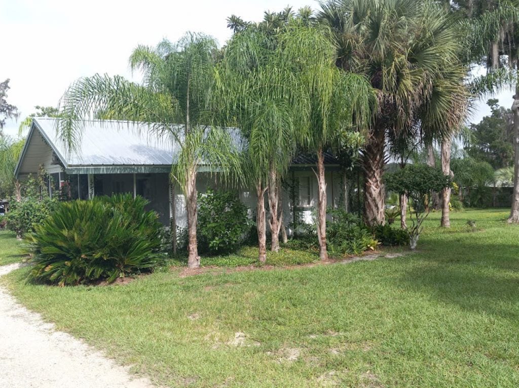 Waterfront Quaint Cabin On The St John's River