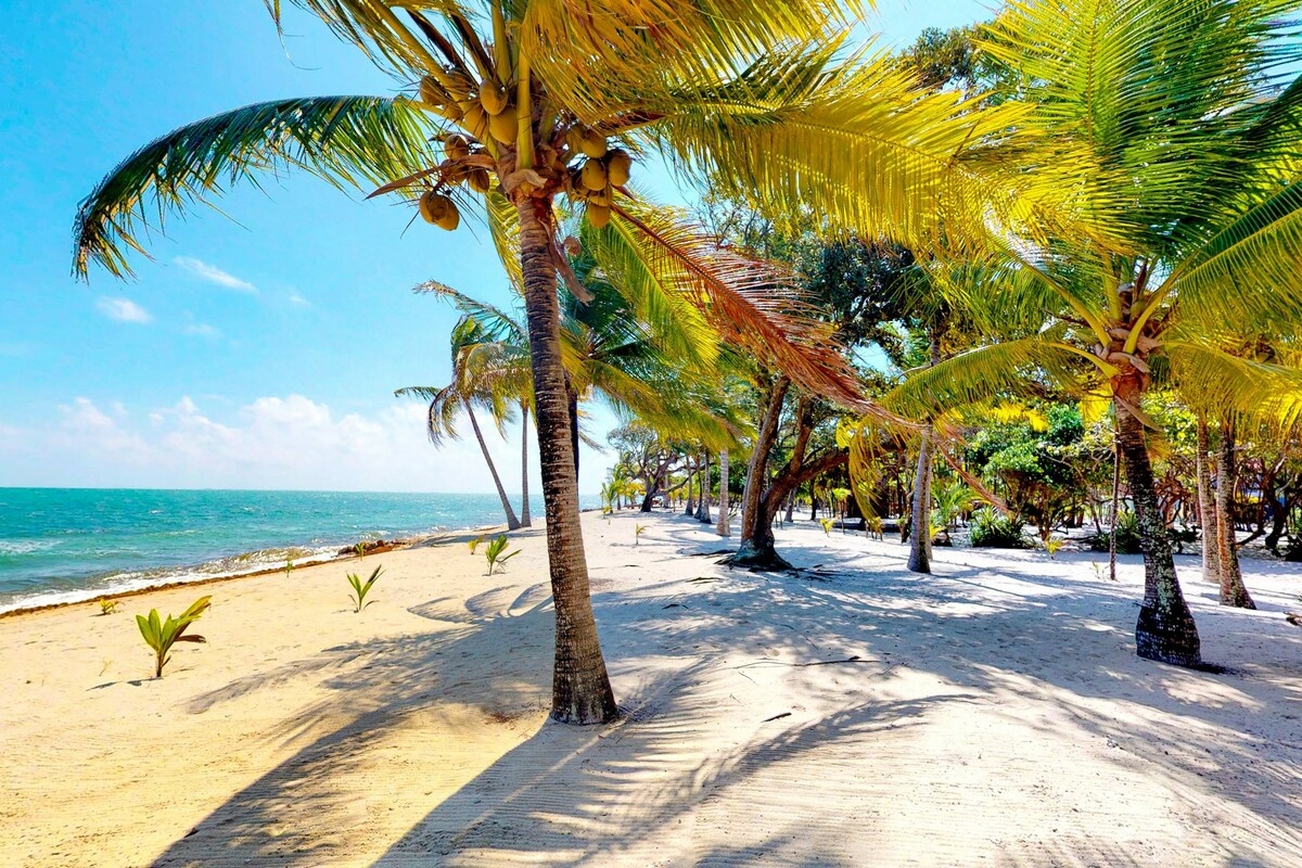 Walk to Beach 1BR Placencia Peninsula