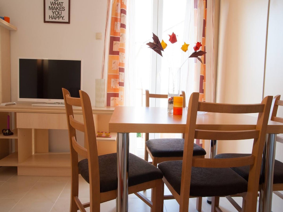 Apartments Paula - One Bedroom with Terrace A1