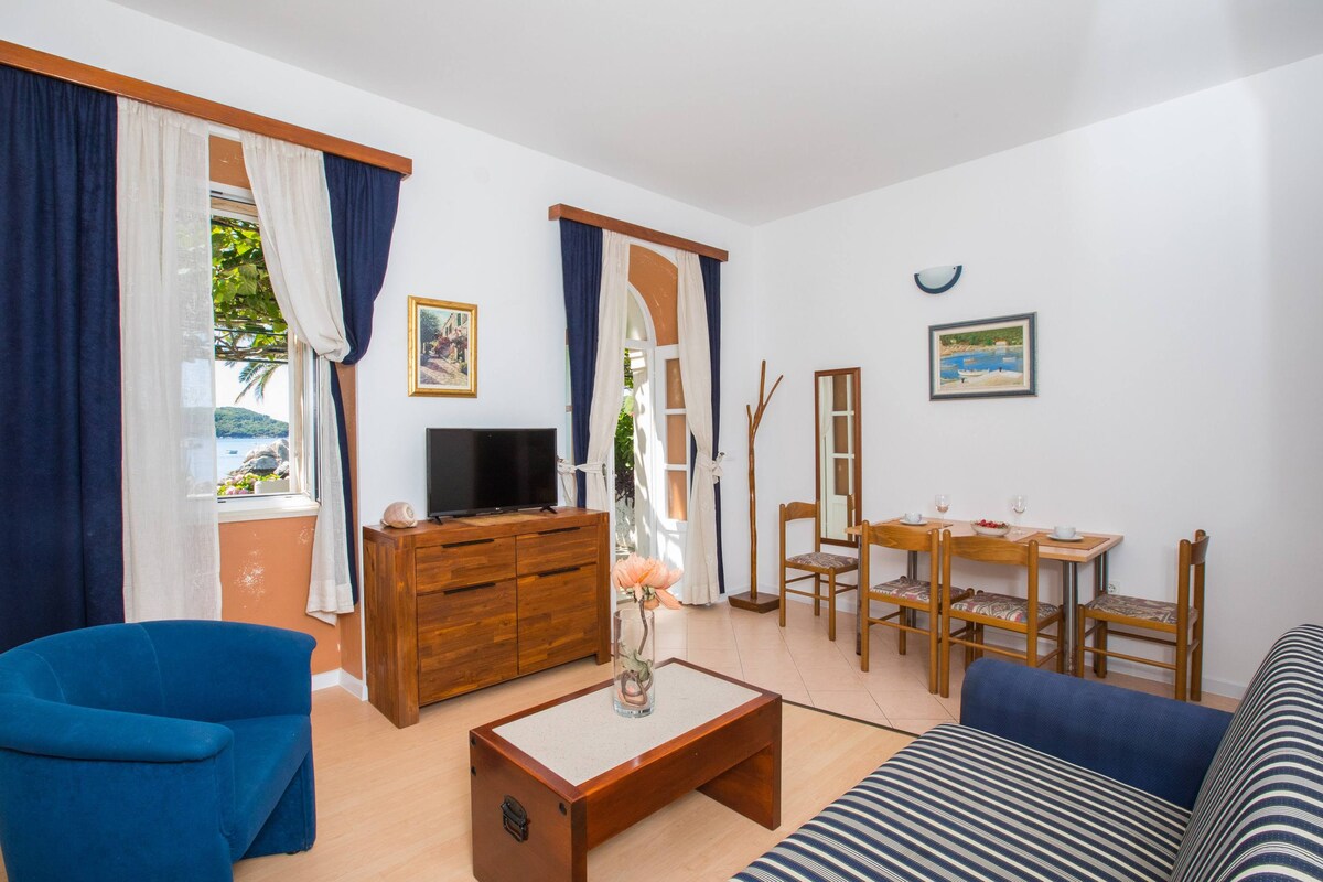 One Bedroom Apartment with Terrace and Sea View - (A1)