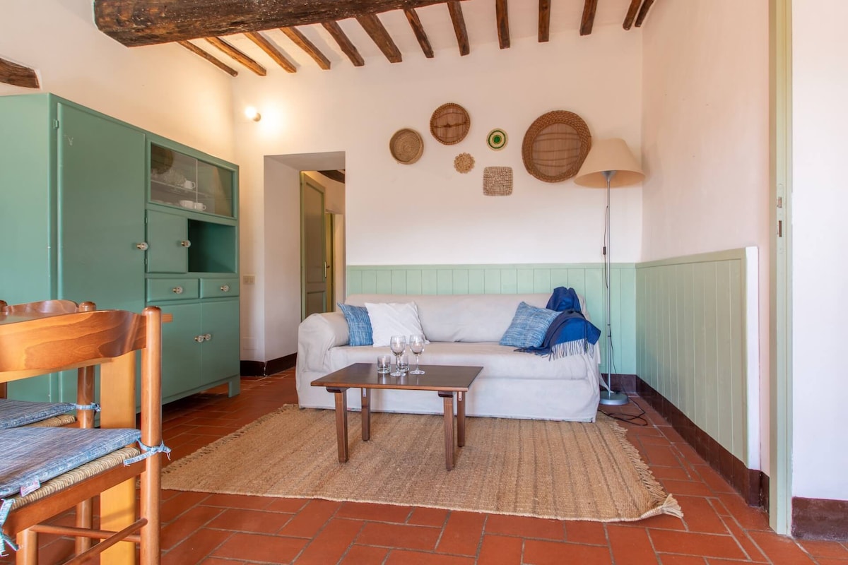 Casa Paciano, apartments with pool, Vite
