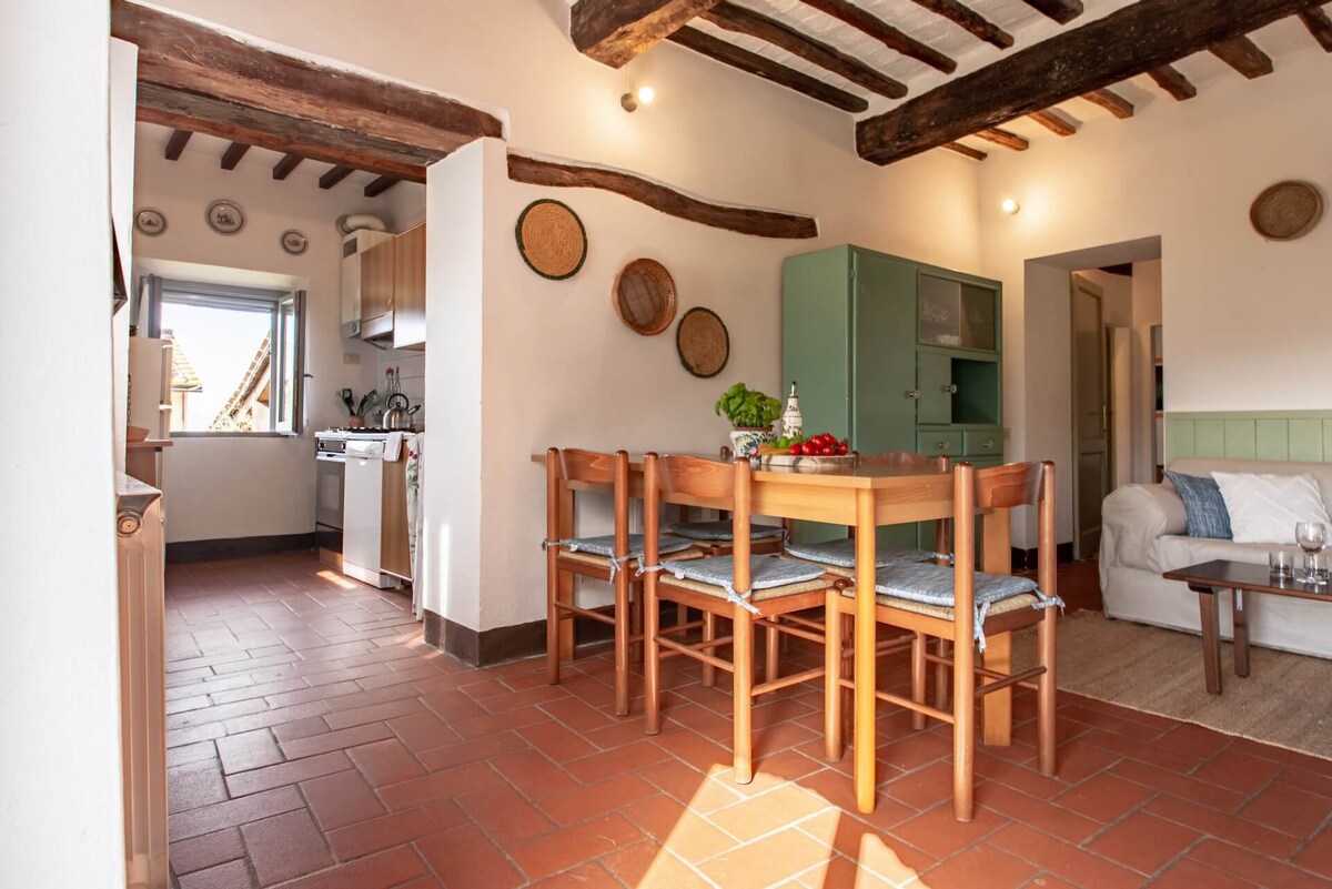 Casa Paciano, apartments with pool, Vite