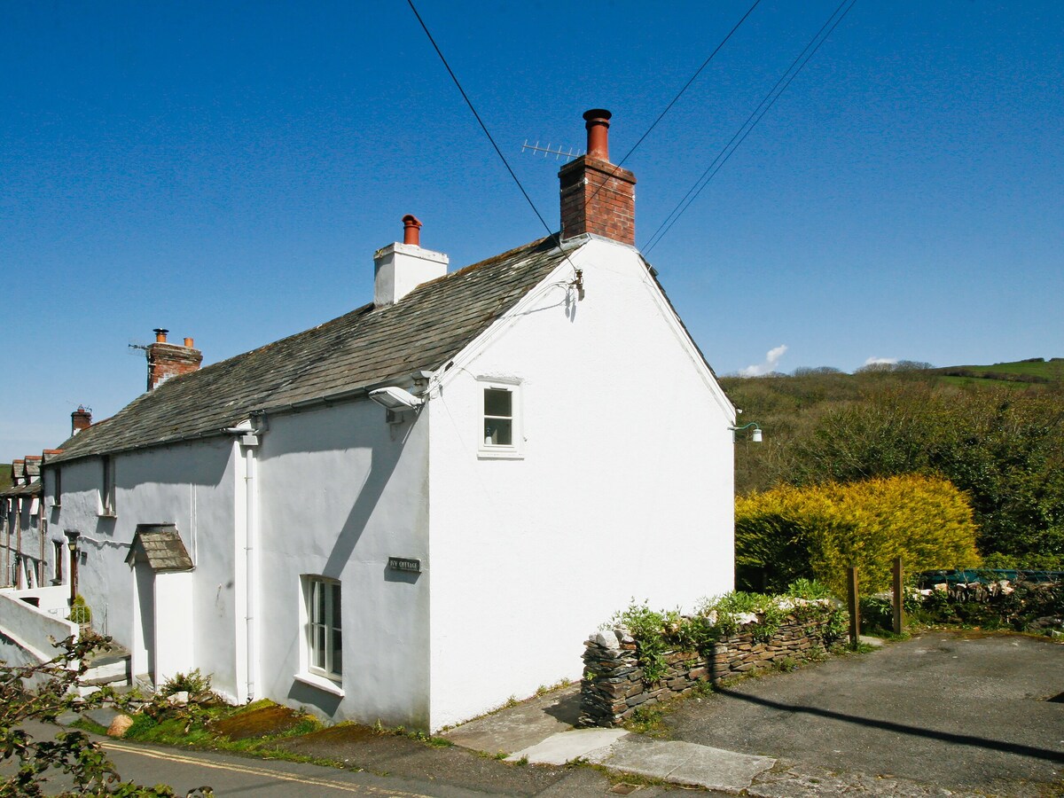 ivy Cottage - tq4