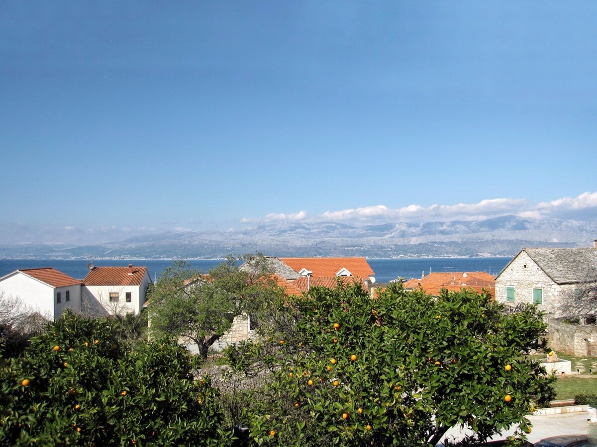 Apartment Siniša - sea view