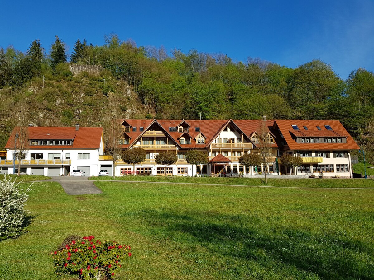 沃肯施泰因酒店（ Oberwolfach ） ，双人房“Burgfelsen” ，带淋浴间和马桶