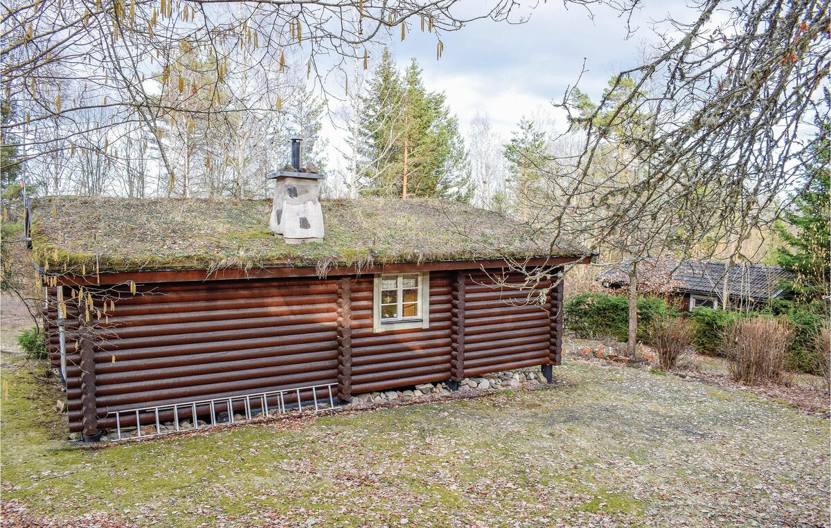 Nice home in Högsby with kitchen