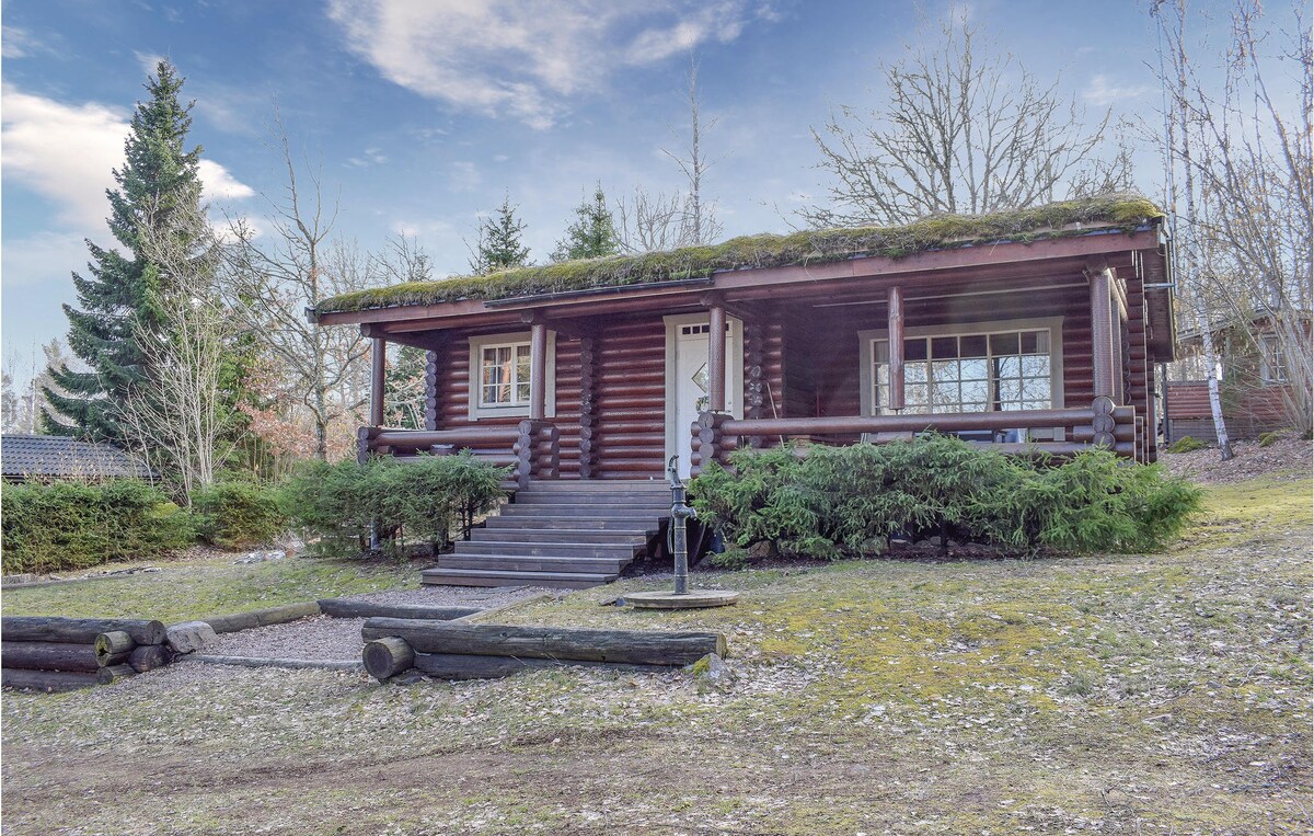 Nice home in Högsby with kitchen