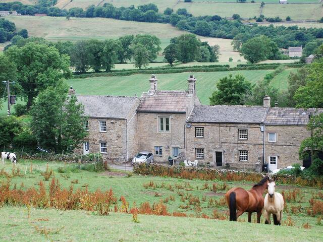 Newbiggin-in-Bishopdale, near Leyburn的民宿