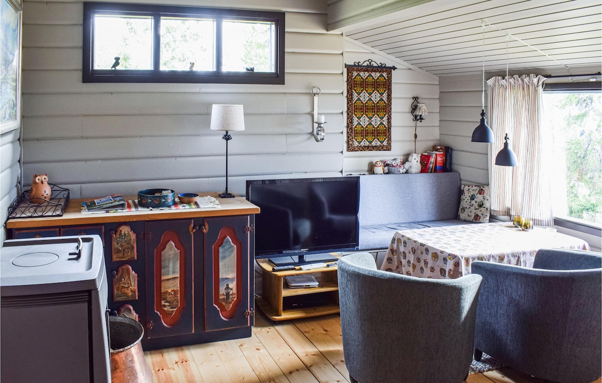 3 bedroom amazing home in Sjusjøen