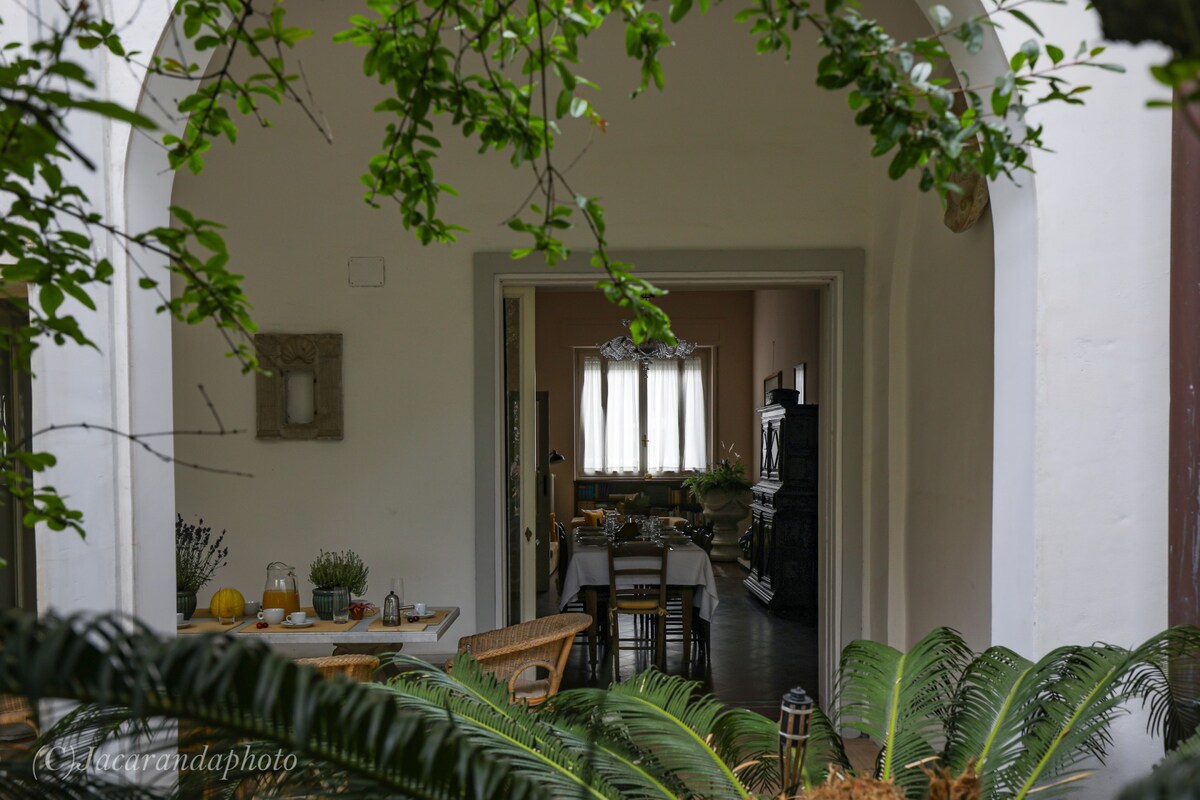 Domus Lilia on Viareggio's promenade