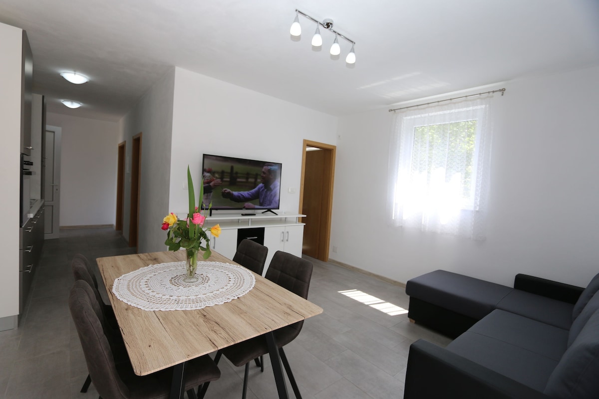 Apartment Mihalić (10070-A4)