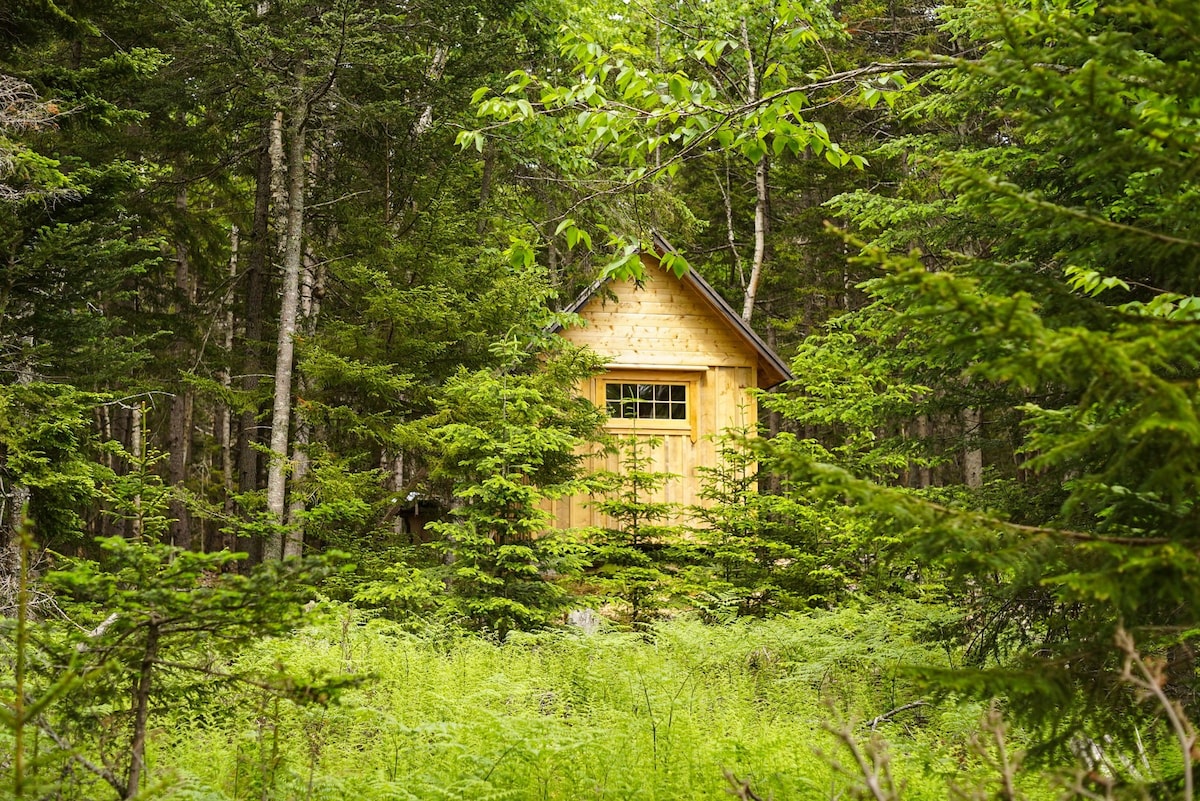 Hut in the Woods at Deer Isle Hostel