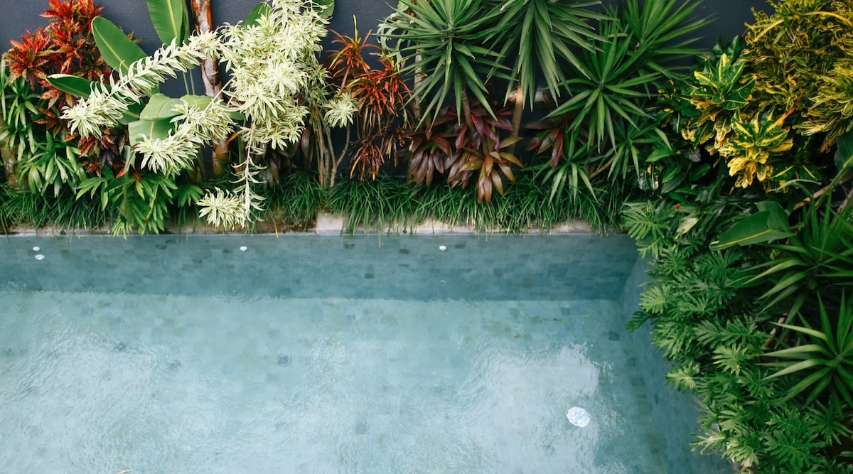巴厘岛长谷（ Canggu ）带泳池的Pakuk别墅，可供8人入住