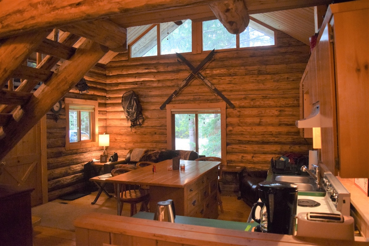 Cascade Log Cabin |雷尼尔山，空调，无线网络，木屋