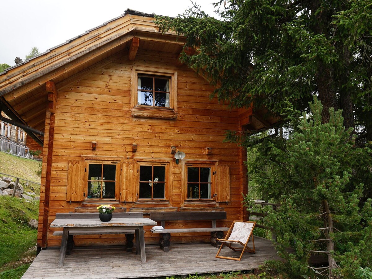 Turracherhöhe/Styria舒适的独立木制度假木屋