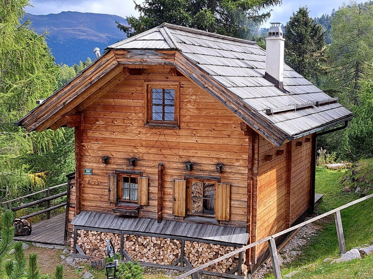 Turracherhöhe/Styria舒适的独立木制度假木屋
