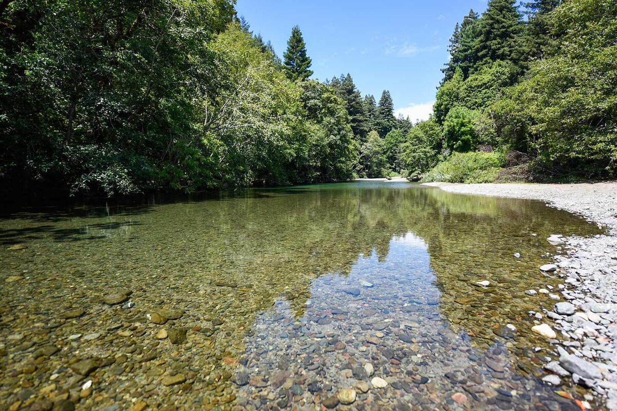 Seventeen Sequoias -在森林中度假，溪流