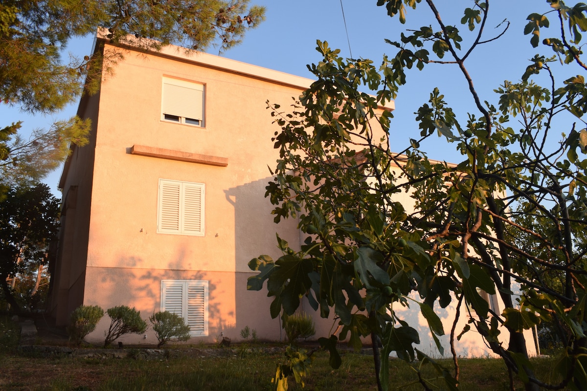 AS-17865-a Studio flat with terrace Starigrad,