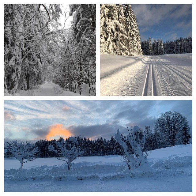 巴伐利亚森林国家公园（ Bavarian Forest National Park ）儿童友好型舒适公寓（ 75平方米） ，可供4人入住。