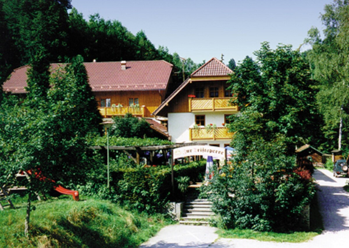 Gasthof-Pension "Zur Triftsperre" (Passau), Liebevoll eingerichtetes & großzügiges Einzelzimmer