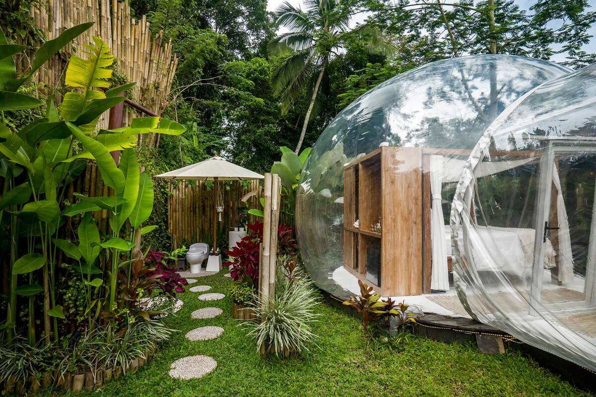 泡泡酒店（ Bubble Hotel Ubud ） -仅限成人