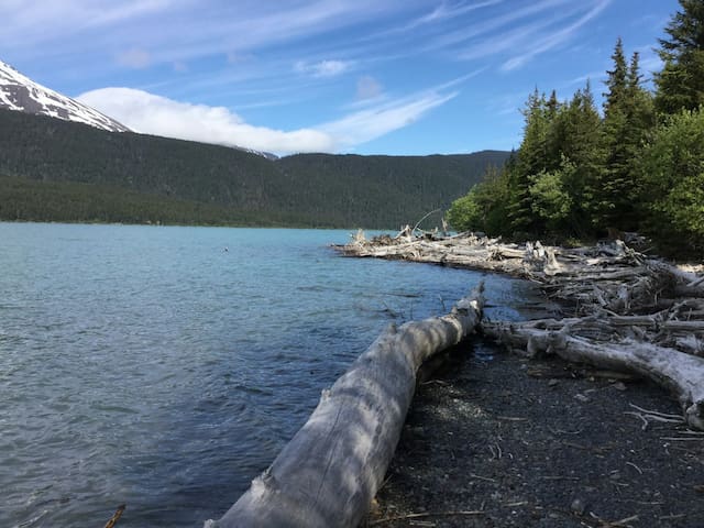 苏厄德(Seward)的民宿